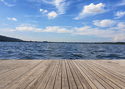 Business Analysis - Auf einen Blick