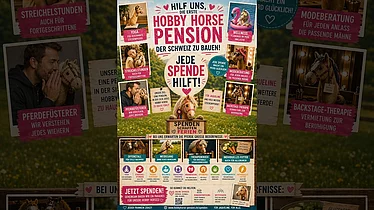 Hobby Horsing