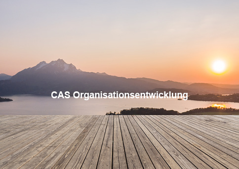 CAS Organisationsentwicklung CAS Organisationsentwicklung