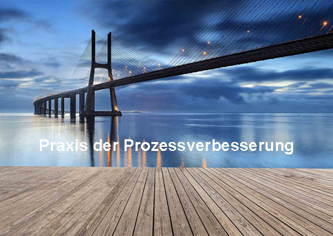 Praxis der Prozessverbesserung